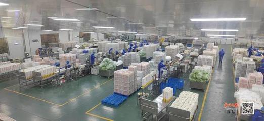 孟州市大定街道 踔厲奮發(fā)新征程，勇毅前行著華章——食品生產高質量發(fā)展之路