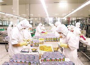 神栗公司 靠山養(yǎng)山，以林果產(chǎn)業(yè)架起深山與世界的致富橋梁