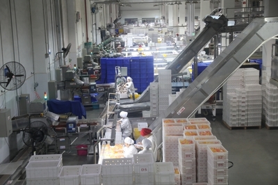 遂寧 以“智改數(shù)轉(zhuǎn)”為傳統(tǒng)產(chǎn)業(yè)“換芯”，驅(qū)動食品銷售升級