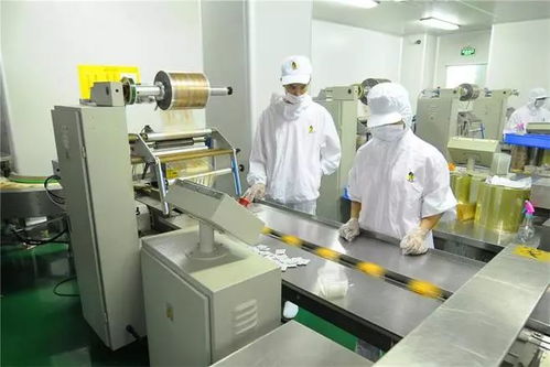 食品加工廠霉菌污染的綜合防控策略與實踐指南